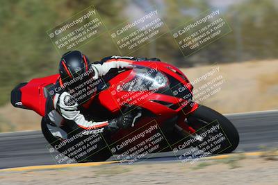 media/Oct-21-2024-Moto Forza (Mon) [[0d67646773]]/A Group/Session 3 (Turn 7 Inside Pans)/